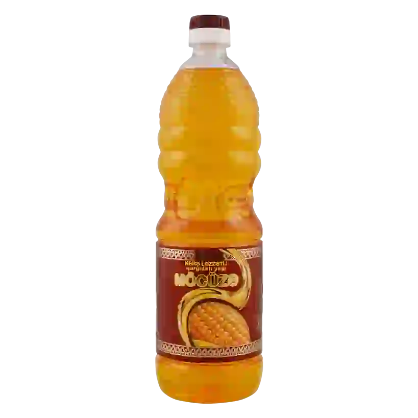 Mocuze-Qargidali--1000